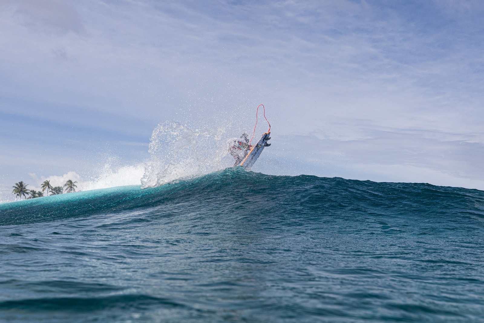Summer Fish - Torq Surfboards